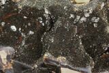 Polished Septarian Geode Sculpture - Black Crystals #99449-2